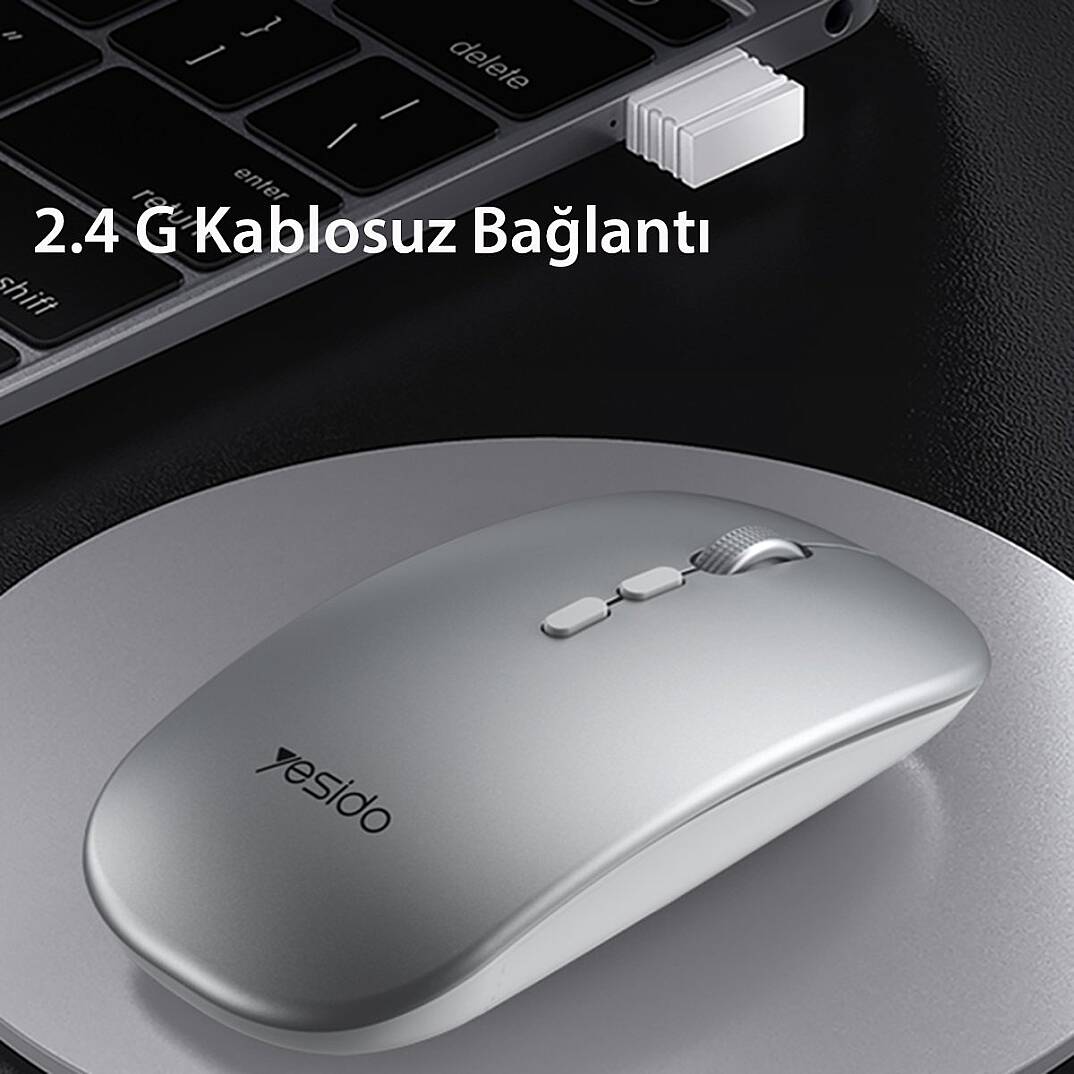 2.4G Ergonomik Kablosuz Mouse - Gümüş - 5