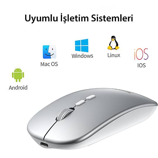 2.4G Ergonomik Kablosuz Mouse - Gümüş - 6